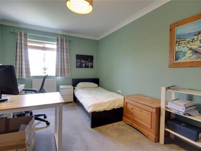 Picture 15